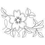 wild rose border 001